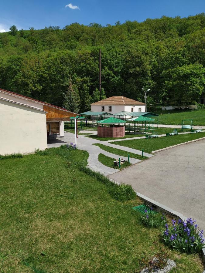 Aliq Hotel Tsaghkadzor Bagian luar foto