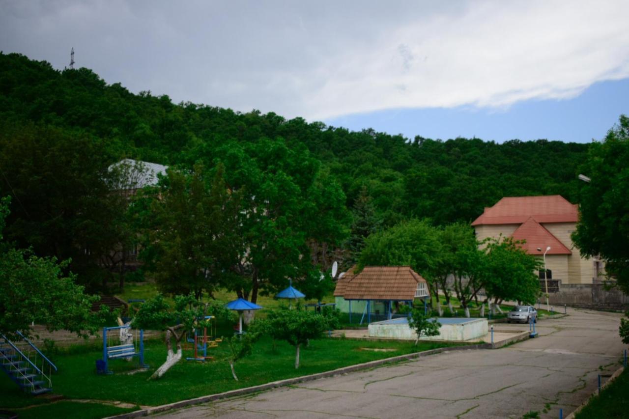 Aliq Hotel Tsaghkadzor Bagian luar foto