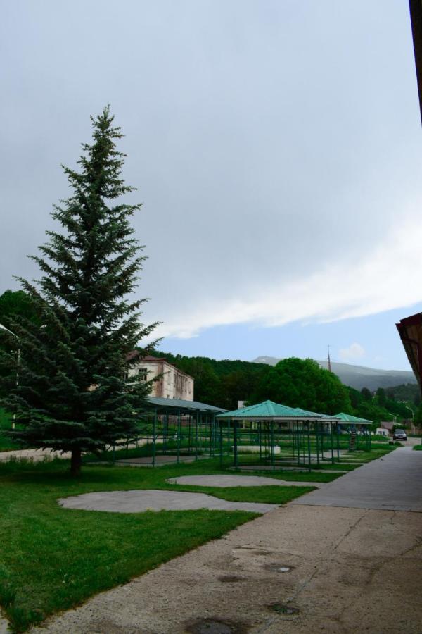 Aliq Hotel Tsaghkadzor Bagian luar foto